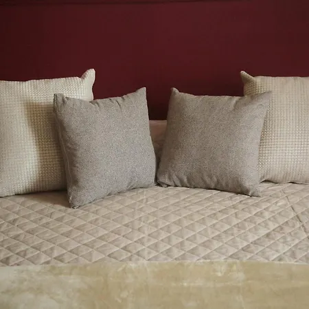 ホテル Garisenda Con Terrazza Panoramica Sulle Due Torri ボローニャ